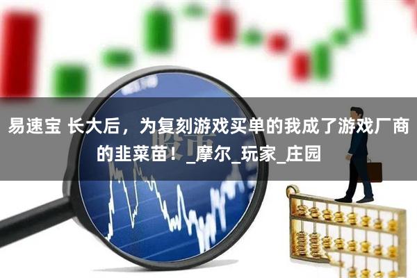 易速宝 长大后，为复刻游戏买单的我成了游戏厂商的韭菜苗！_摩尔_玩家_庄园