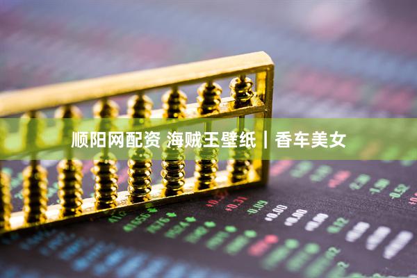 顺阳网配资 海贼王壁纸｜香车美女