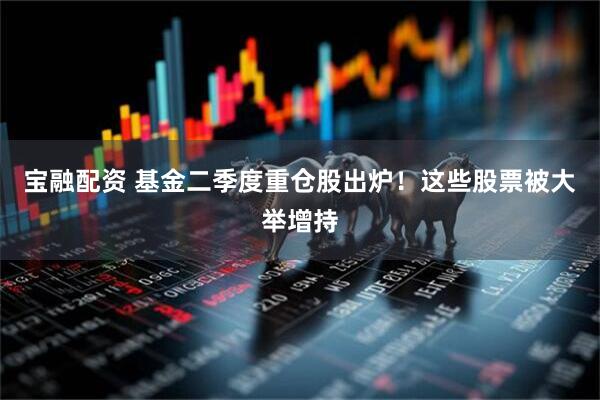 宝融配资 基金二季度重仓股出炉！这些股票被大举增持