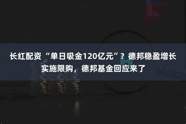 长红配资 “单日吸金120亿元”？德邦稳盈增长实施限购，德邦基金回应来了